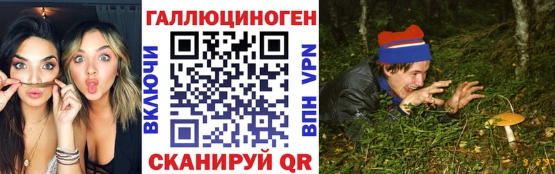 mega зеркало  Тобольск  Галлюциногенные грибы Psilocybe 